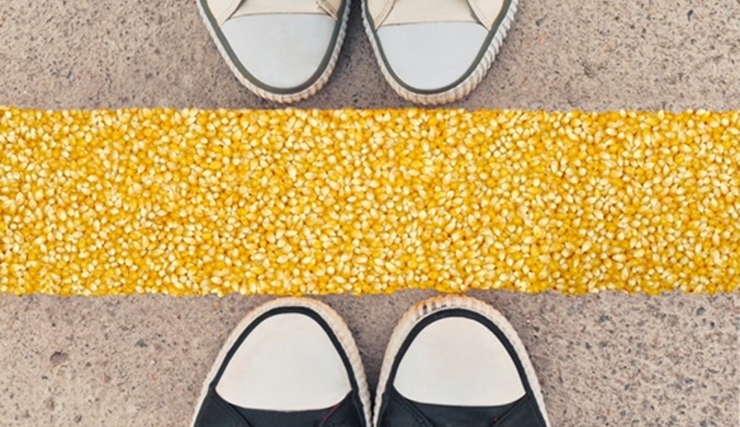 Mit ihrem Kunstprojekt wollen René Düsel, Gerd Gschwendtner, Gertrud Kohli und Heinz P. Nitzsche auf den Wert und die Wertigkeit des Mais aufmerksam machen. 