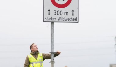 «Vorsichtig fahren oder gleich ganz bremsen» : Wildhüter Sepp Koller warnt vor Wildwechsel