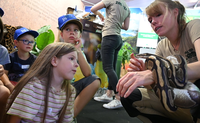 Pythonstreicheln und Playstationspielen für die Kids