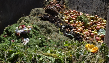 Kompostieranlage Ceres: Kommt die Rheinaufweitung, muss sie weichen