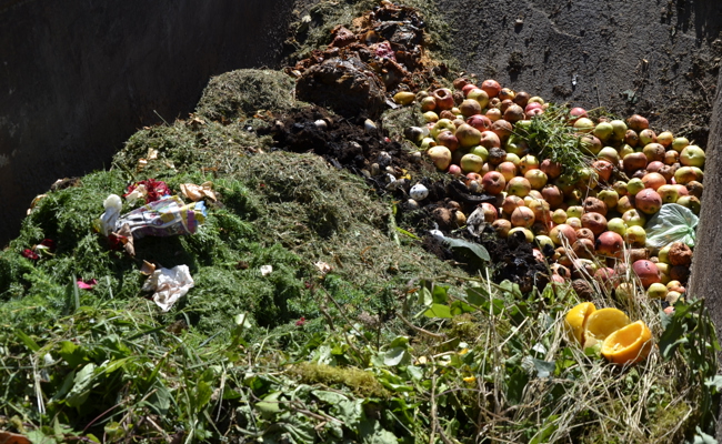 Kompostieranlage Ceres: Kommt die Rheinaufweitung, muss sie weichen