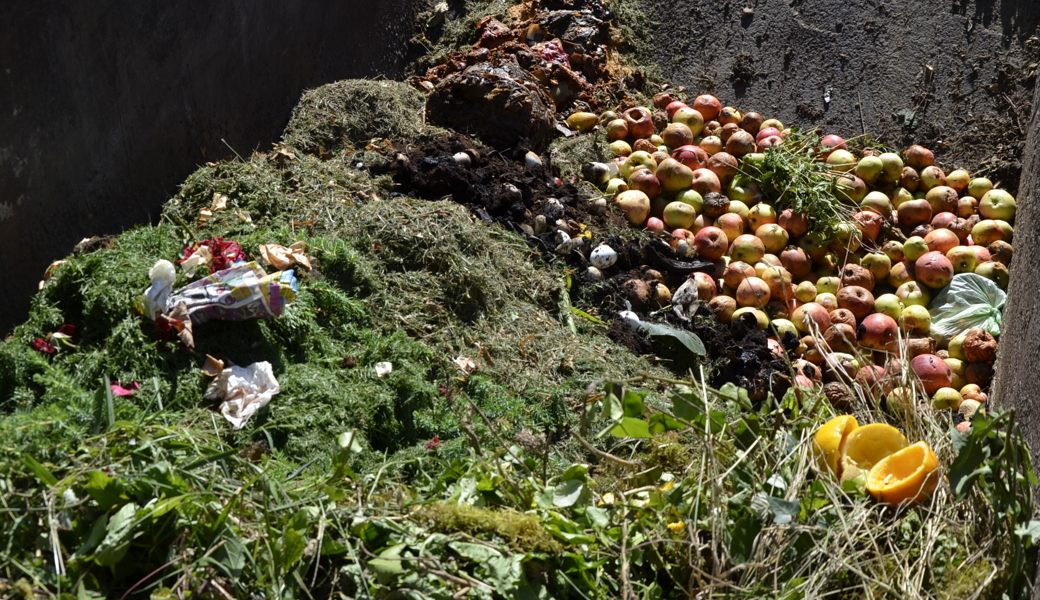 Kompostieranlage Ceres: Kommt die Rheinaufweitung, muss sie weichen
