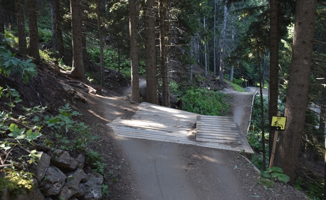 Mountainbiker nach Sturz auf Trail verstorben