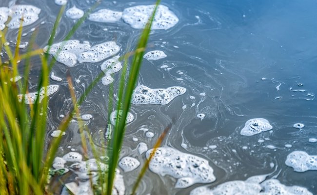 Gemüsebauer gibt nicht auf, obwohl er Gewässer verschmutzte – nun landet der Fall vor Bundesgericht