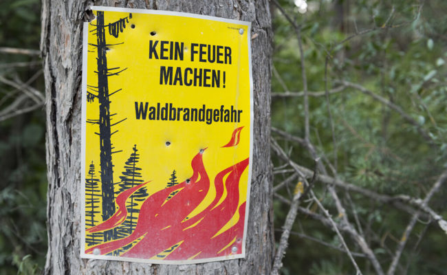 Kanton St. Gallen: Ab Mittwoch kein Feuer und kein Feuerwerk im Wald und in Waldesnähe