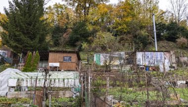 Gartentipp: Mehr Freizeit statt immer nur chrampfen im Schrebergarten?