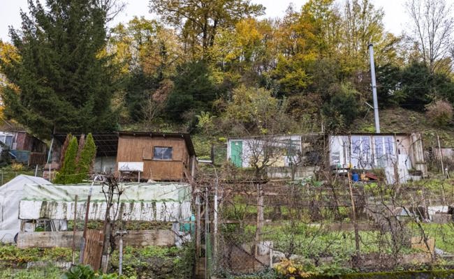 Gartentipp: Mehr Freizeit statt immer nur chrampfen im Schrebergarten?