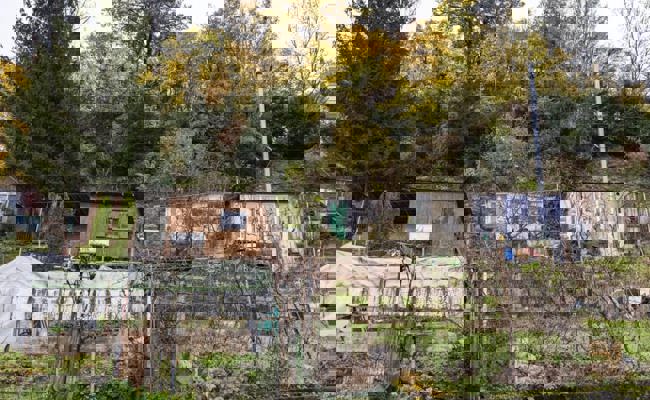 Gartentipp: Mehr Freizeit statt immer nur chrampfen im Schrebergarten?