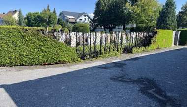 Beim Unkraut verbrennen fingen zwei Thuja-Hecken Feuer