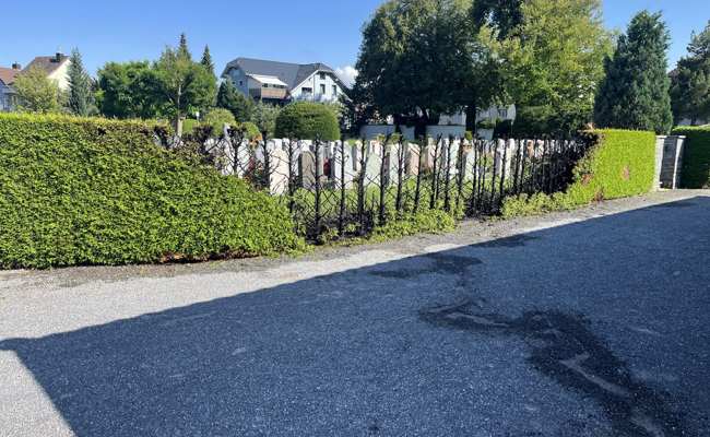 Beim Unkraut verbrennen fingen zwei Thuja-Hecken Feuer