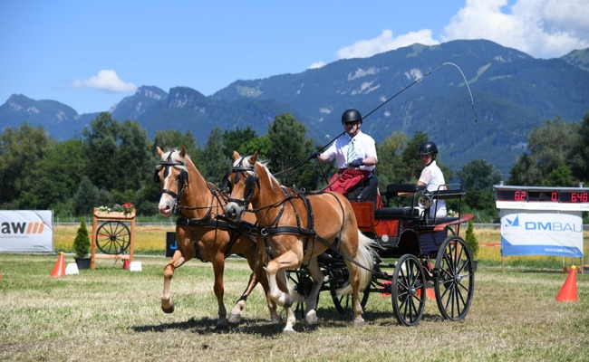 Drei zweite Plätze für Team Bicker