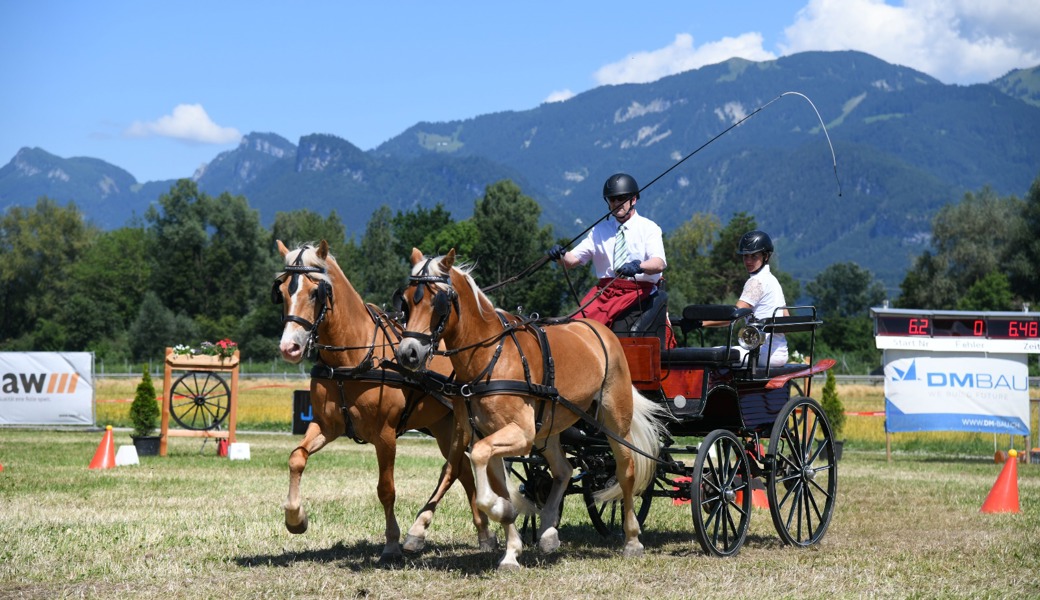 Urs Bicker war mit seinem Zweispänner erfolgreich 