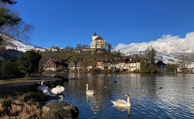 Aktuell, kompetent, engagiert: Unser neues Webportal für die Region ist seit heute online