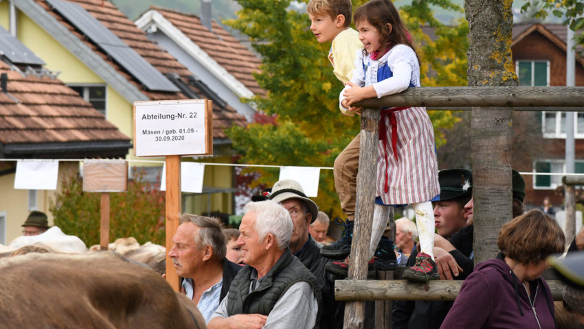  Diese Kinder sicherten sich beste Sicht auf den Schauring.