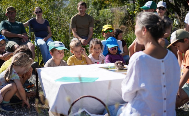 Der Garten aus Igelaugen:  Familien bauten neue Verstecke