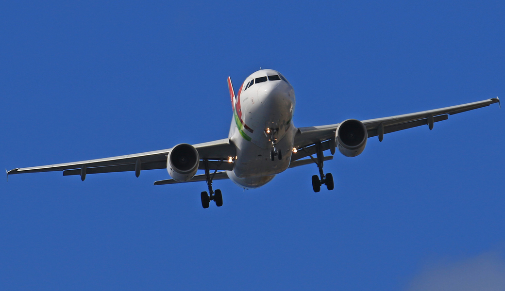 Ferien-Feeling pur: Doch ist dafür wirklich eine Flugreise nötig?