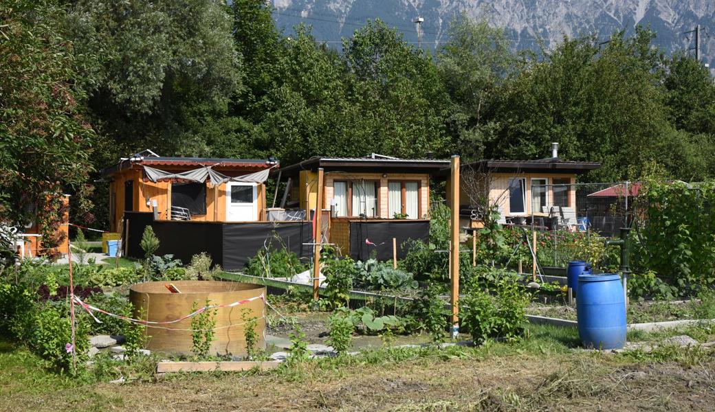 Die allermeisten Kleinpflanzer haben eine neue Bleibe gefunden.