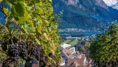 Rebleute laden zu Wanderung durch die Rebberge ein