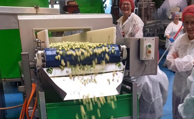 Tiefgefrorene Vitamine: Die SP zu Besuch in der Verdunova AG