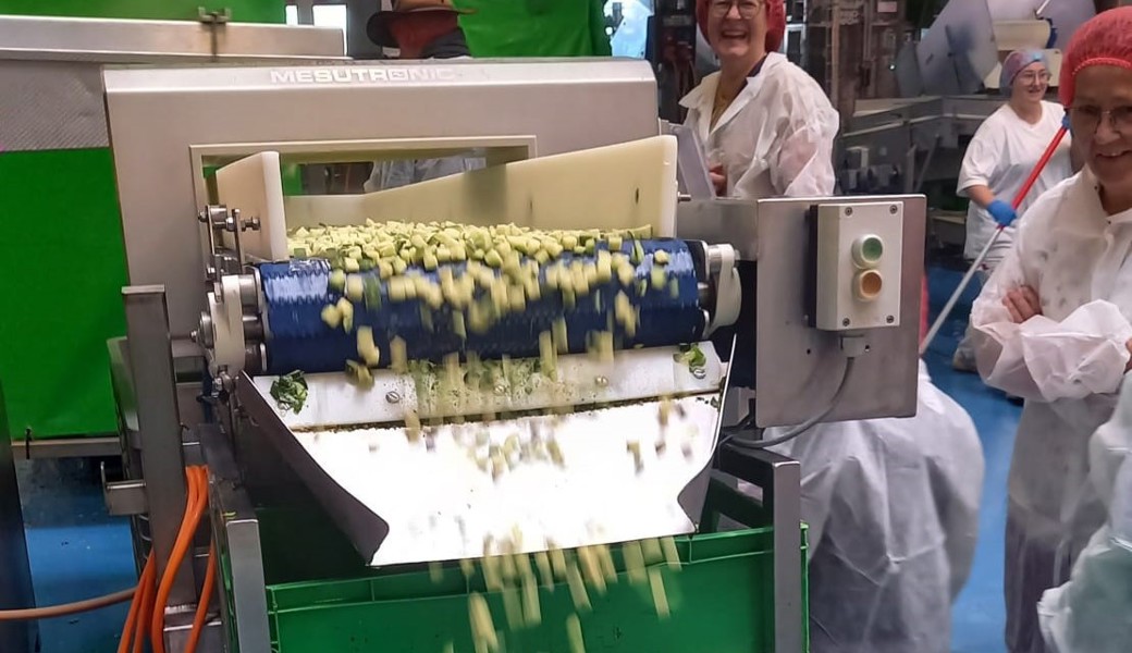 Die Teilnehmenden erhielten Einblick in Hygienestandards und Produktionsweisen bei der Verdunova AG.