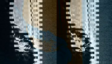 Ein nicht geschlossenes Fenster hat gereicht: Bargeld und Tresor gestohlen