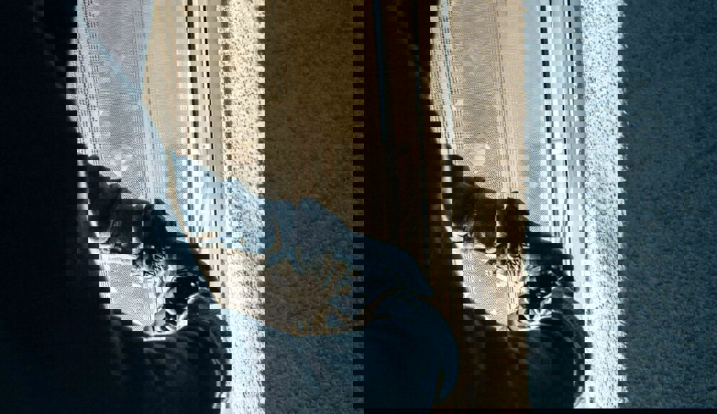  In einem Geschäft in Sennwald ist eingebrochen worden. Entwendet wurden Bargeld und ein Tresor. 