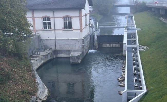 Neue Fischtreppe: SAK verbessert Fischwanderung am Binnenkanal