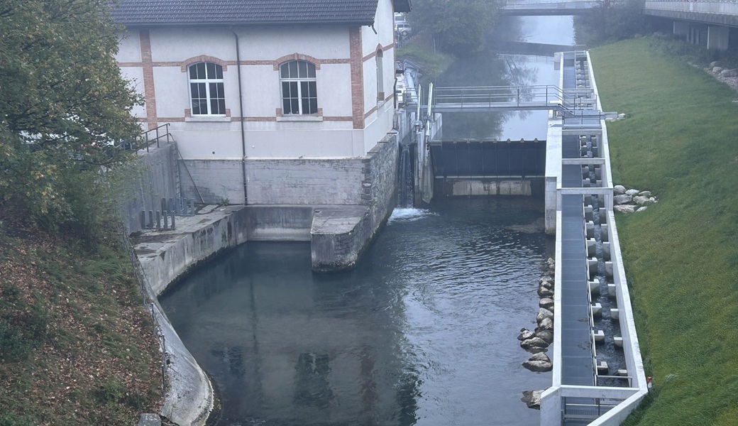 Neue Fischtreppe: SAK verbessert Fischwanderung am Binnenkanal