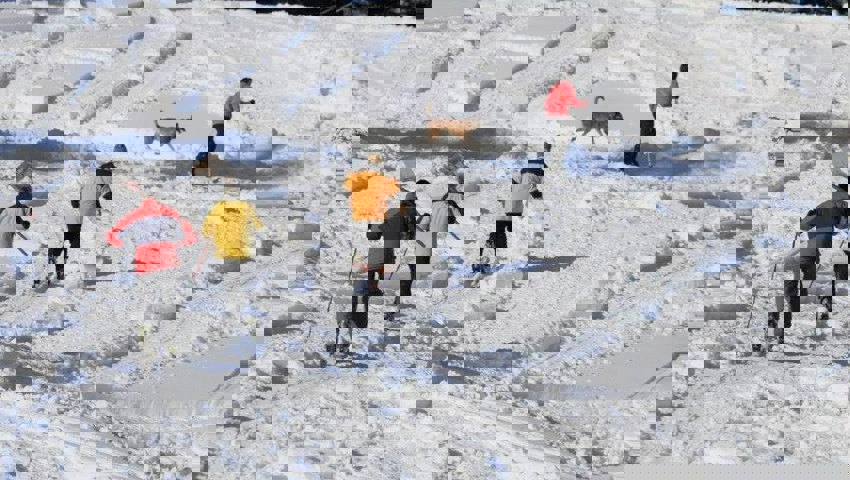  Bei der Rettung ist die Arbeit im Team ist unerlässlich. 