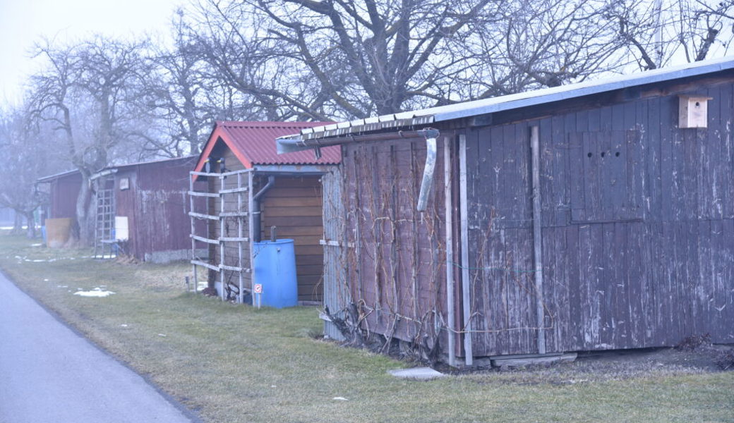  Kleinpflanzerhütten in Buchs. 