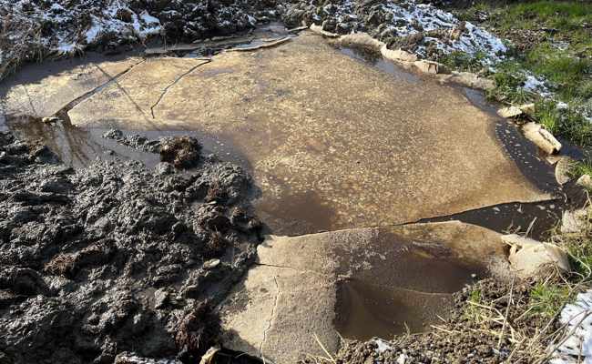 Jauche in Bach gelangt – Landwirt angezeigt