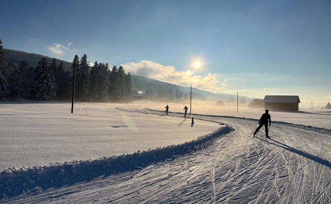 «Möchten keine schlafenden Hunde wecken»: So reagieren Ostschweizer Langlaufgebiete auf PFAS im Skiwachs
