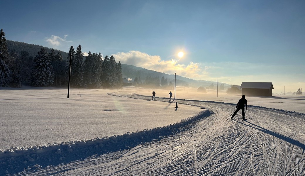 «Möchten keine schlafenden Hunde wecken»: So reagieren Ostschweizer Langlaufgebiete auf PFAS im Skiwachs