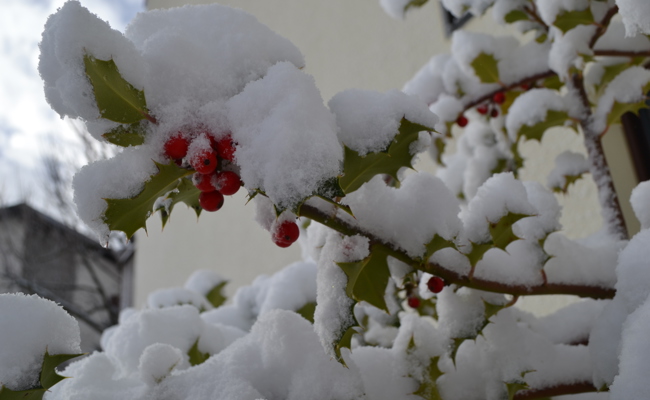 Schnee macht noch keine Piste – Ziel ist 30. November