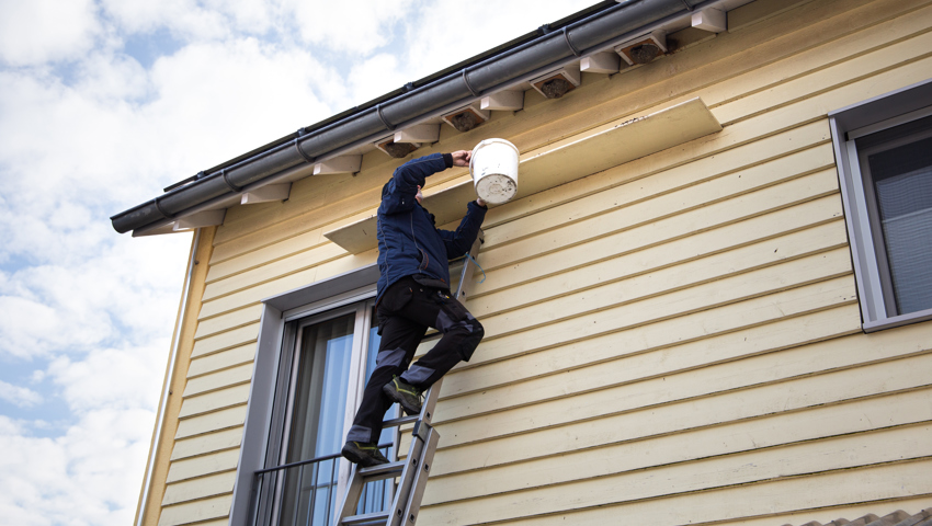 Viele Nistkästen hängen weit oben.