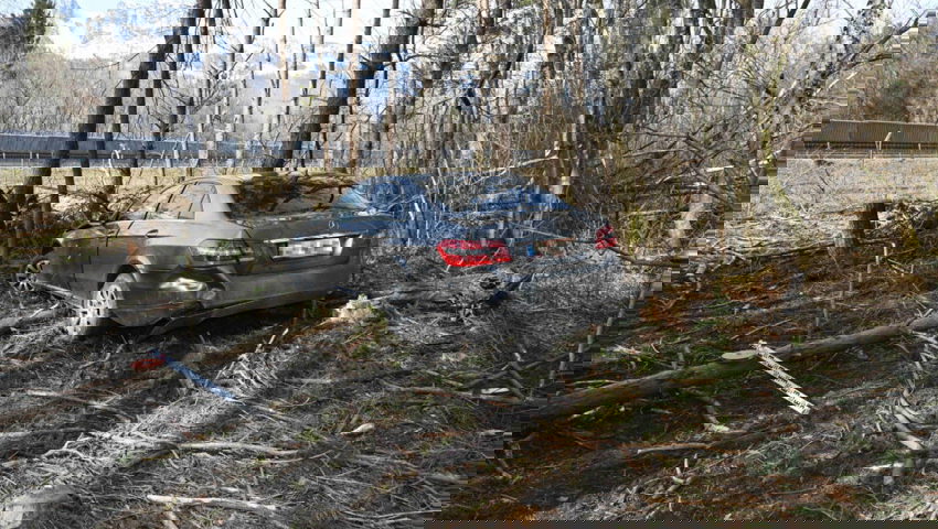  Für das Auto war auf dem Waldweg Endstation. Der Fahrer versuchte zu Fuss zu flüchten – kam aber nicht mehr weit. 