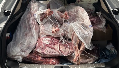 Über 300 Kilogramm ungekühltes Schmuggel-Fleisch: Zoll findet Tierkörper in Kofferraum