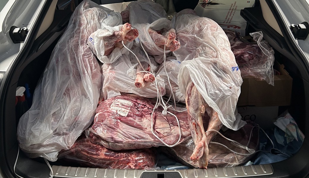 Über 300 Kilogramm ungekühltes Schmuggel-Fleisch: Zoll findet Tierkörper in Kofferraum