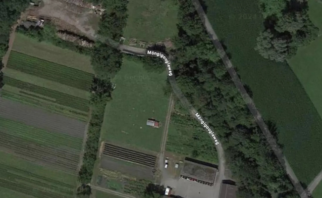 «Möngigoogleweg»: Fiel Google auf Lausbuben-Streich rein?