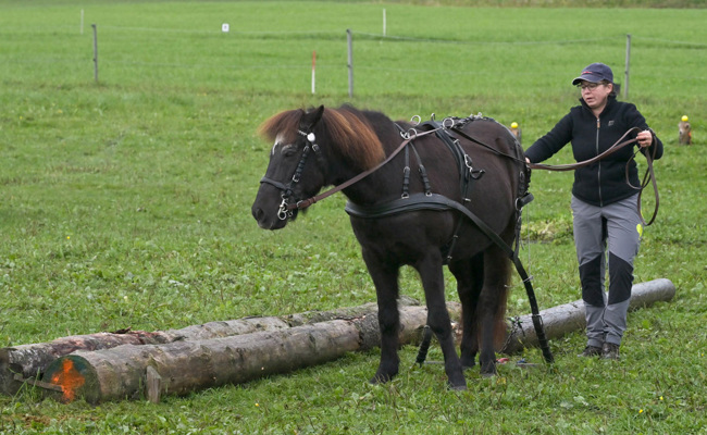 Starke Newcomerin: Ohne Training zum Sieg