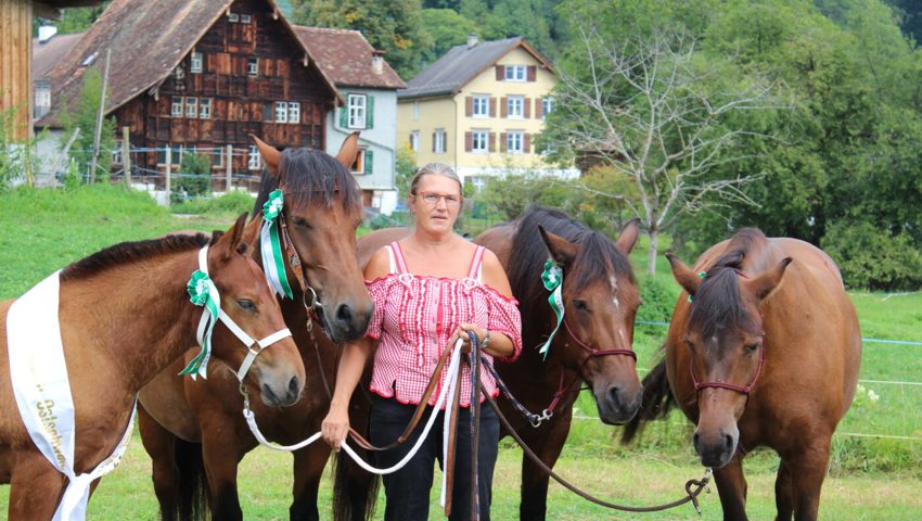  Vier Generationen einer Stutenfamilie von Heike Tinner.