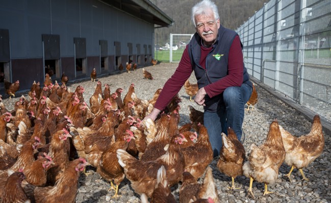 «Hühner haben relativ früh Feierabend» – auch im Hochbetrieb um Ostern