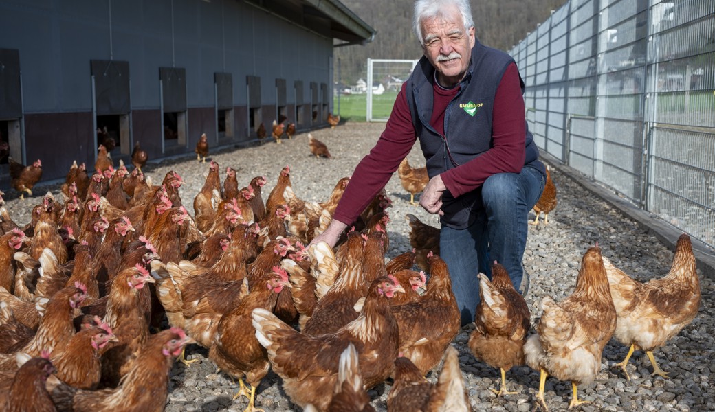 «Hühner haben relativ früh Feierabend» – auch im Hochbetrieb um Ostern