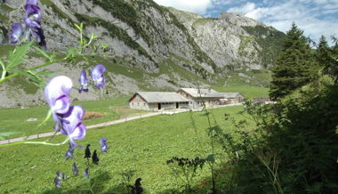 Verunsicherung und viel Ärger: Alphütten-Knatsch noch nicht vom Tisch