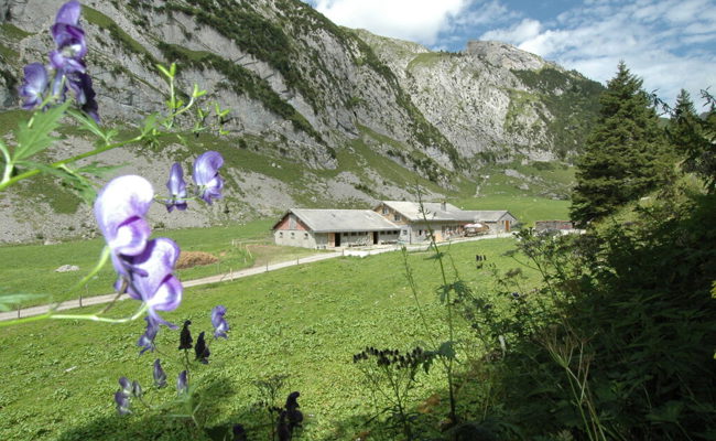 Verunsicherung und viel Ärger: Alphütten-Knatsch noch nicht vom Tisch