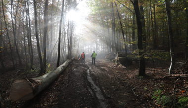 Das Projekt «CO2Park» zum Klimaschutz wurde von einem Wartauer entwickelt