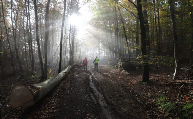 Das Projekt «CO2Park» zum Klimaschutz wurde von einem Wartauer entwickelt