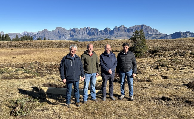 4000-jähriges Moor auf Alp Tamons kann weiterwachsen