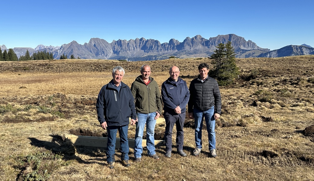 4000-jähriges Moor auf Alp Tamons kann weiterwachsen