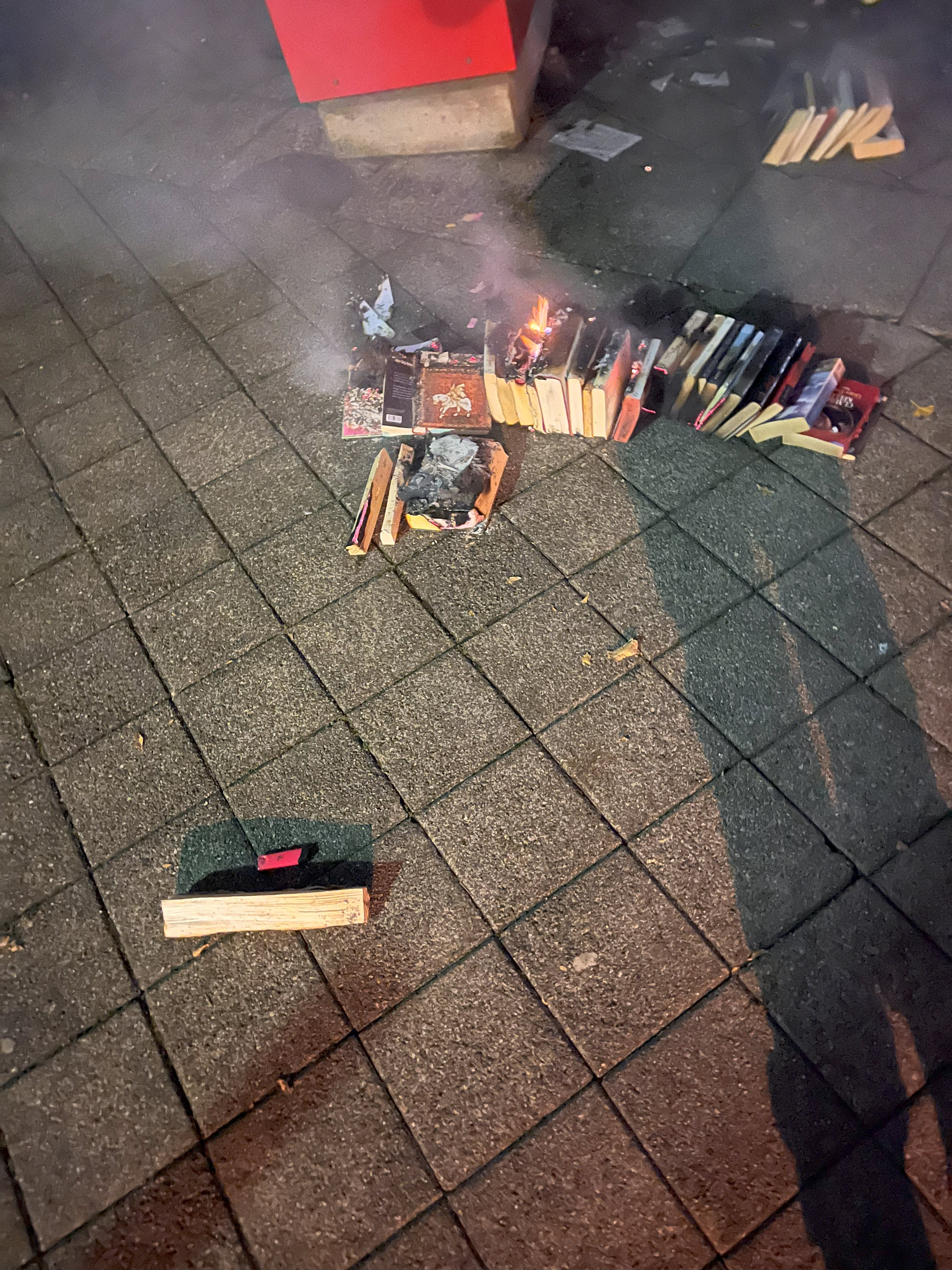 Die Bücher gingen in Flammen auf.